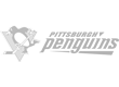 Pitsburgh Penguins