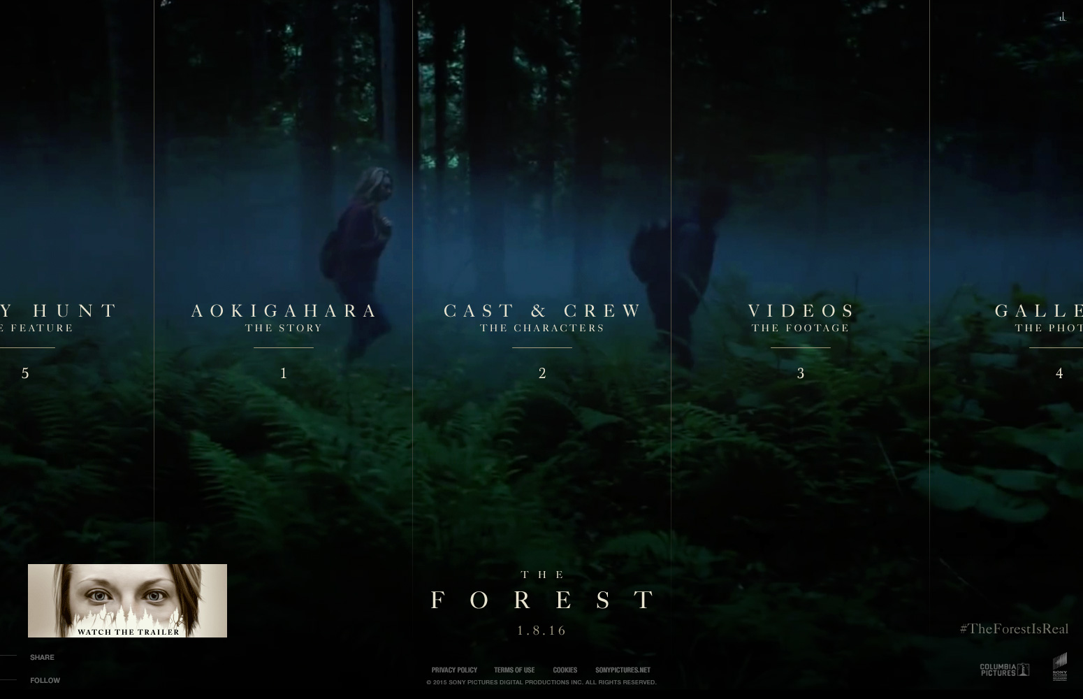 Sony Pictures - The Forest