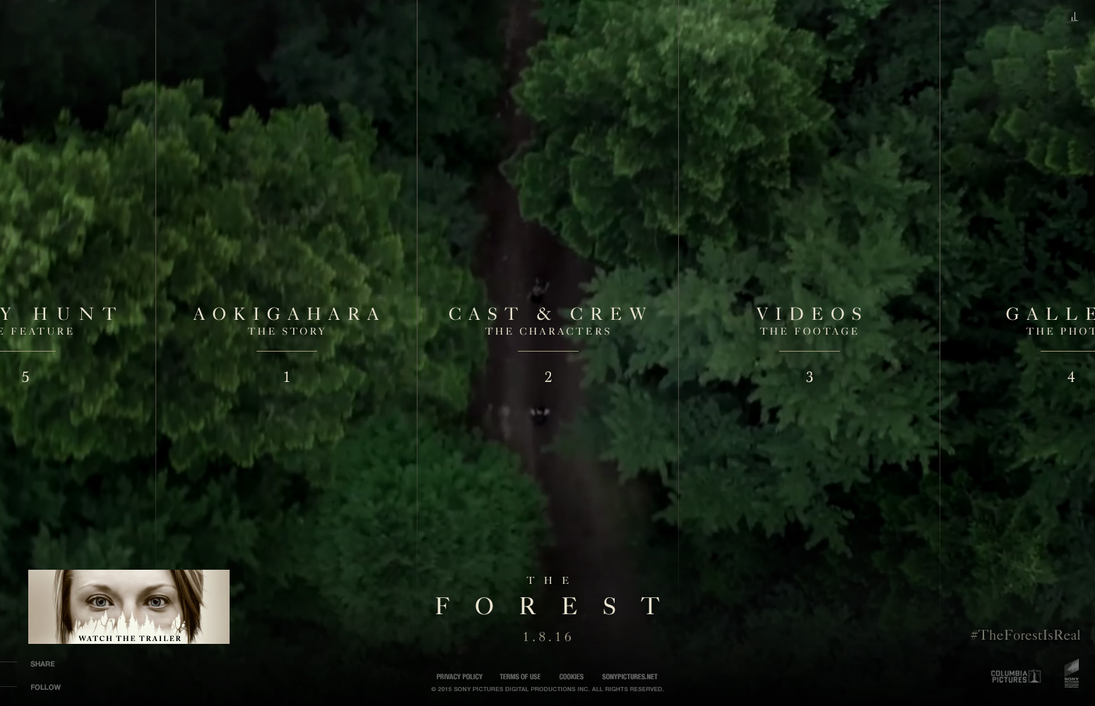 Sony Pictures - The Forest