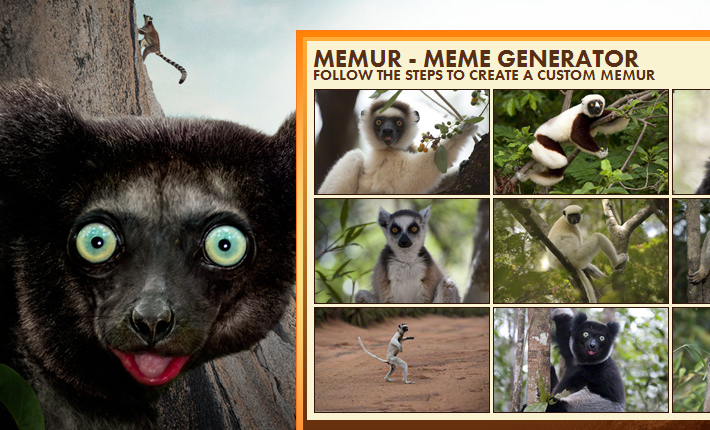 Island of Lemurs: Madagascar Meme Generator