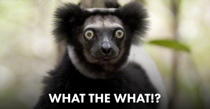 Island of Lemurs: Madagascar Meme Generator